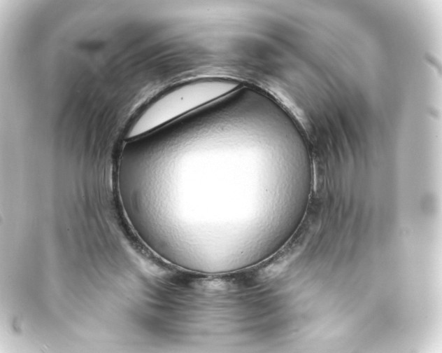 X0000093230253200710241241