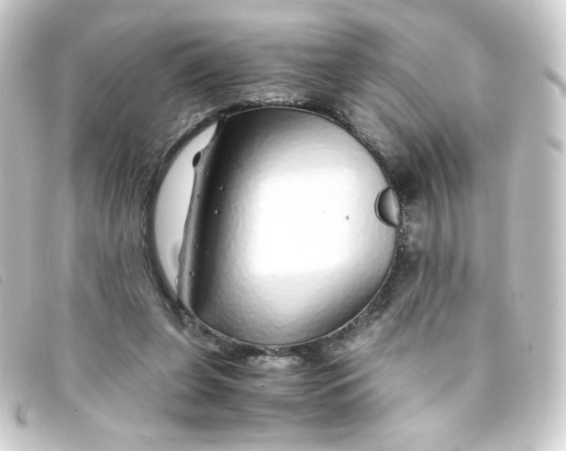 X0000093230255200710241241