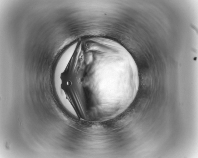 X0000093230256200710241241