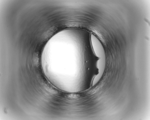 X0000093230261200710241241