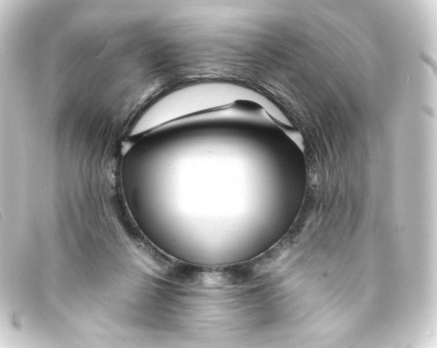 X0000093230264200710241241