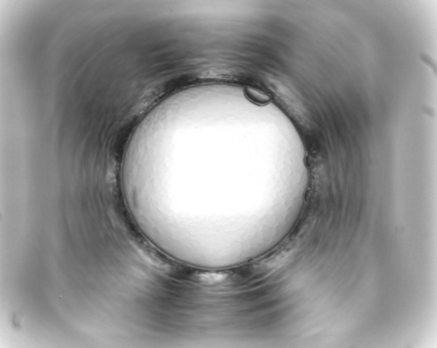 X0000093230265200710241241