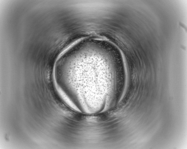 X0000093230268200710241241