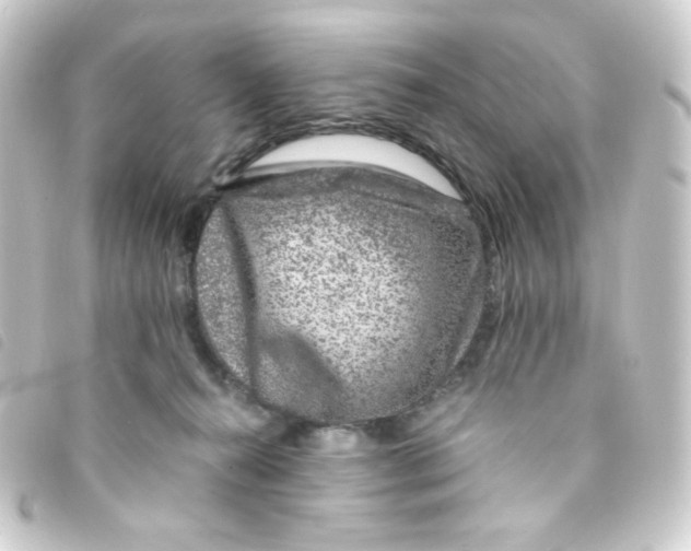 X0000093230272200710241241