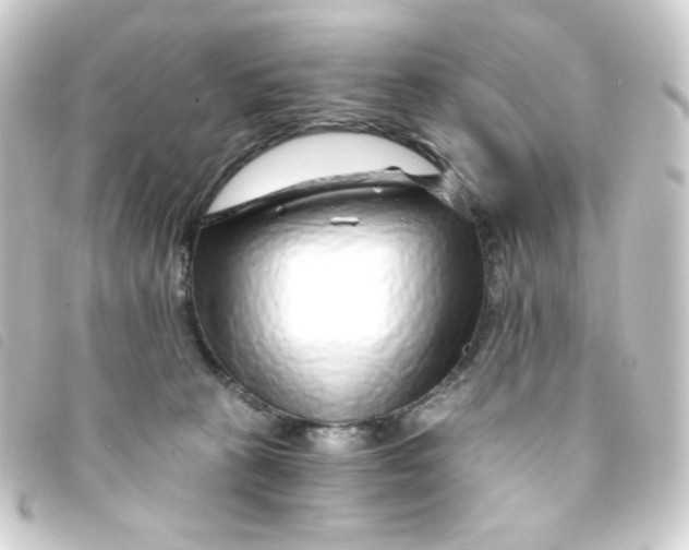 X0000093230273200710241241