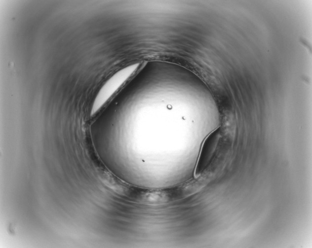 X0000093230275200710241241