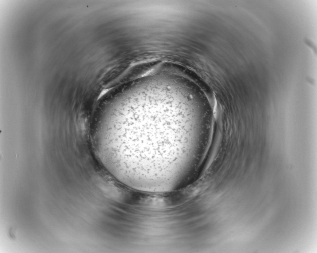 X0000093230276200710241242