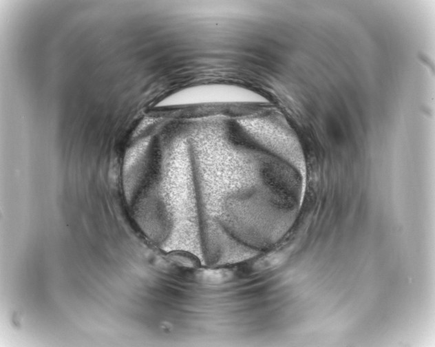 X0000093230277200710241242