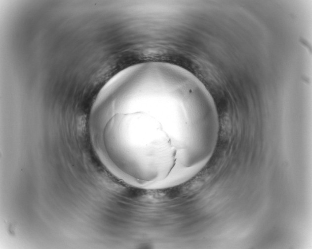 X0000093230278200710241242