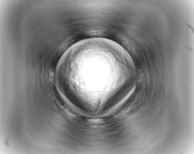 X0000093230281200710241242