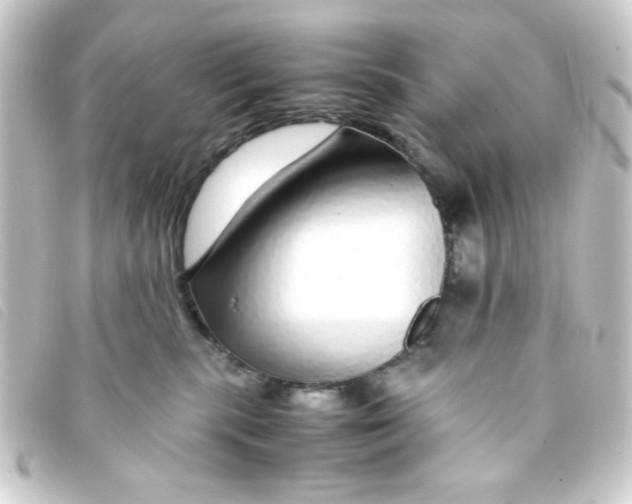 X0000093230283200710241242