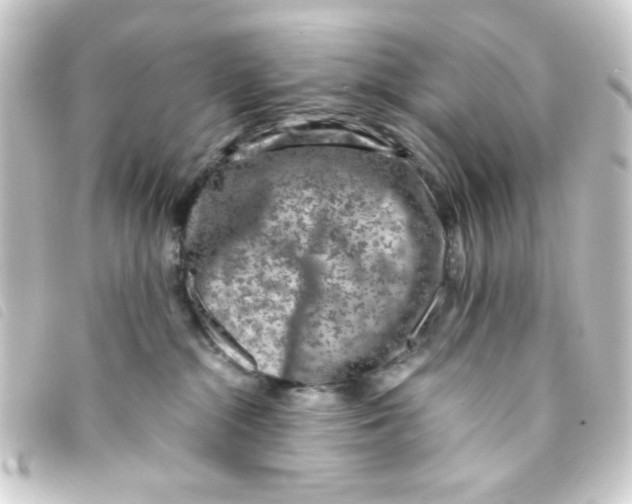 X0000093230284200710241242