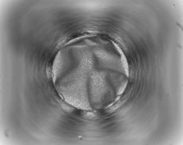 X0000093230285200710241242