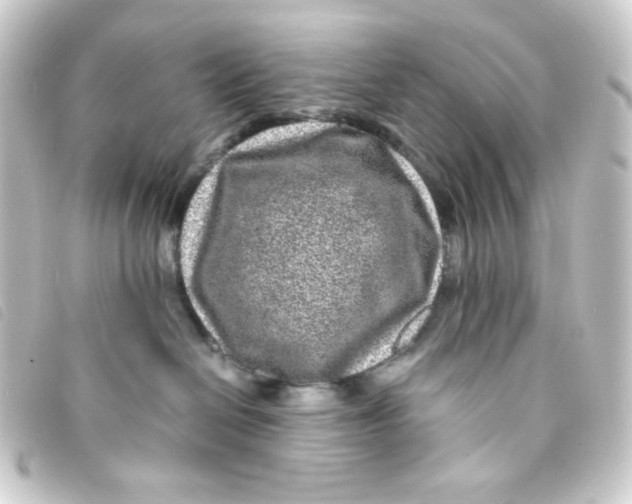 X0000093230286200710241242