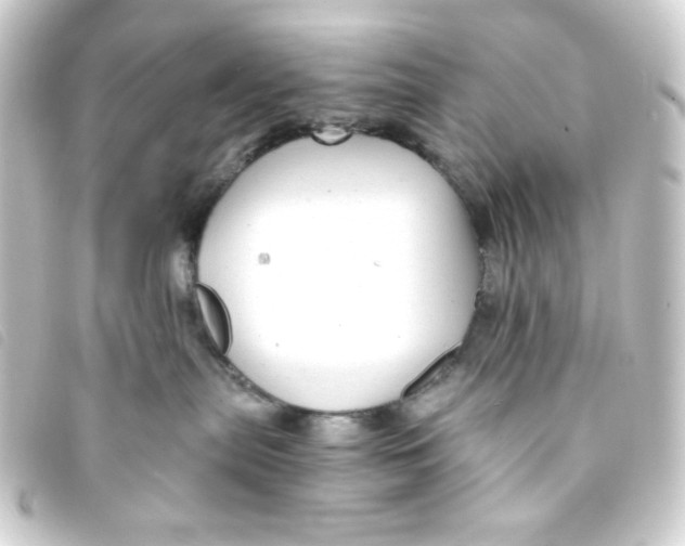 X0000093230287200710241242