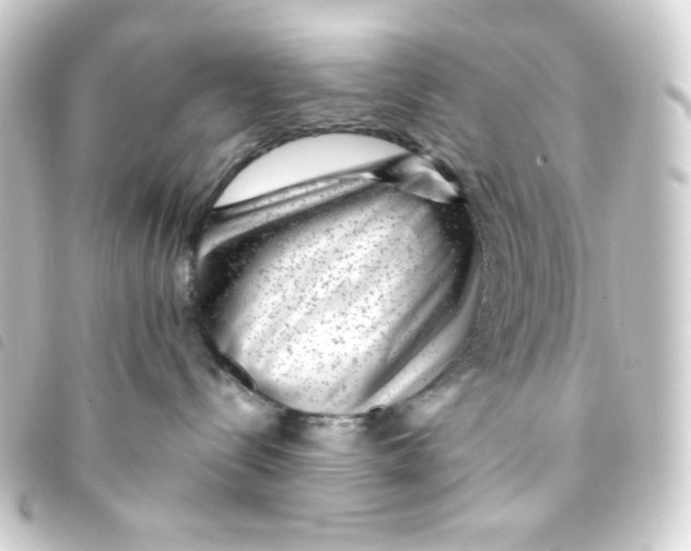 X0000093230288200710241242