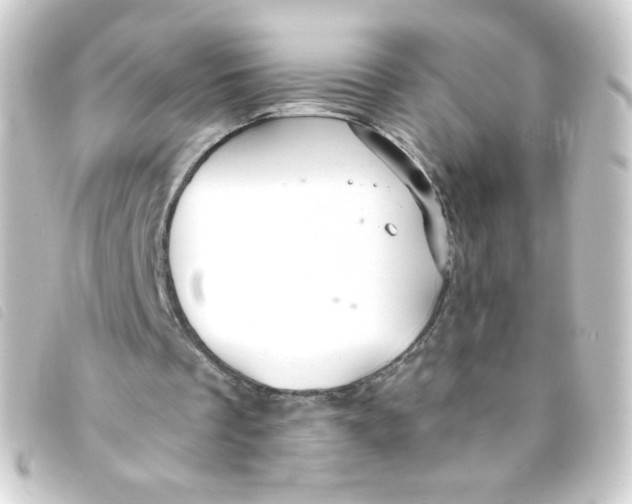 X0000093230289200710241241