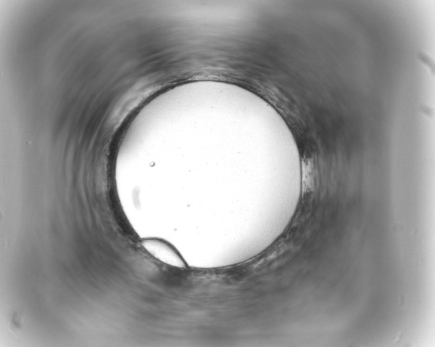 X0000093230291200710241241