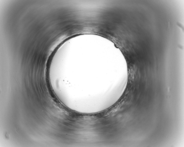 X0000093230292200710241241