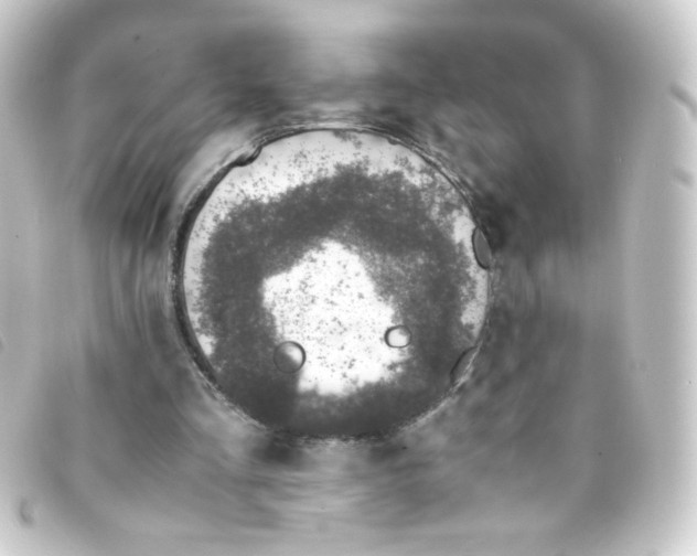 X0000093230293200710241241