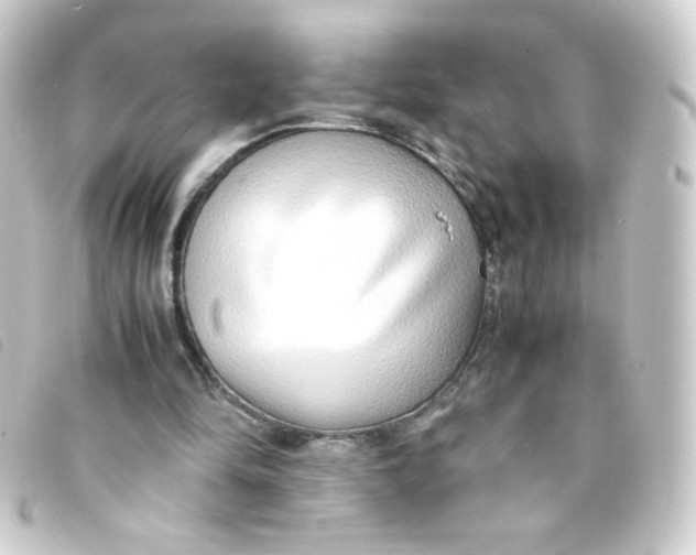 X0000093230294200710241241