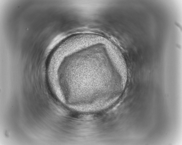 X0000093230295200710241241