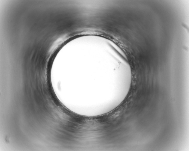 X0000093230296200710241241