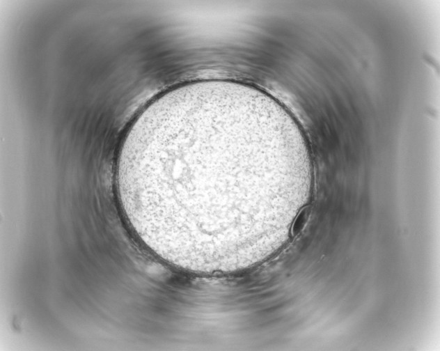 X0000093230297200710241241