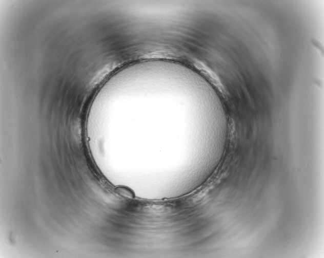 X0000093230298200710241241