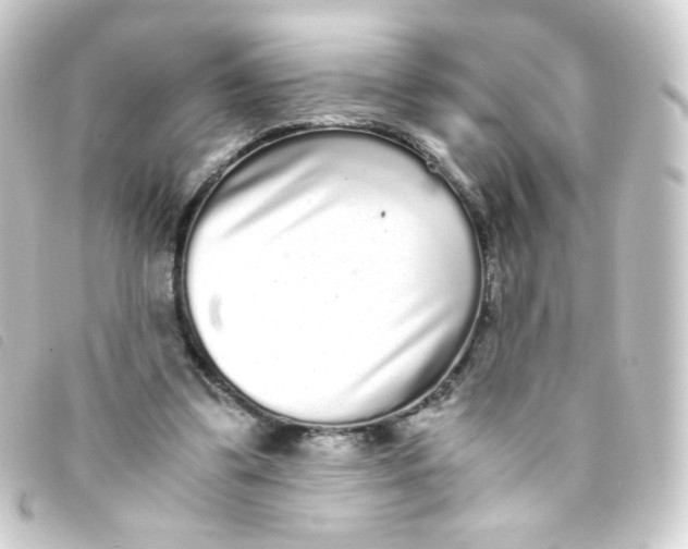 X0000093230299200710241241