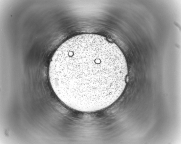 X0000093230305200710241241