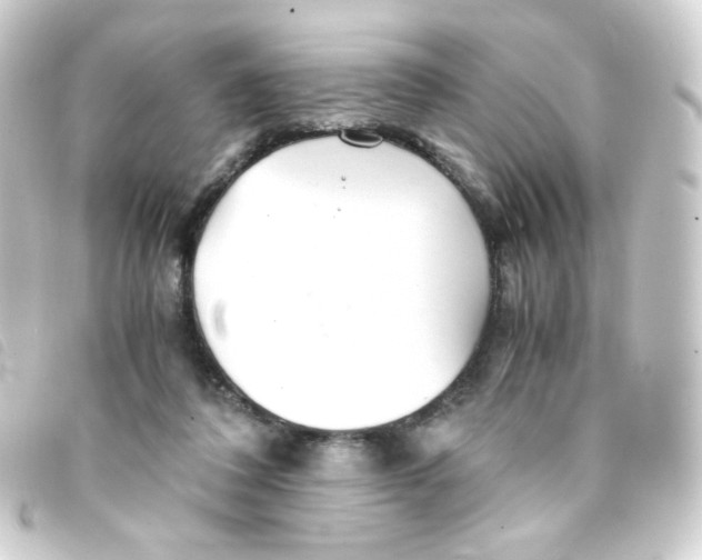 X0000093230308200710241241