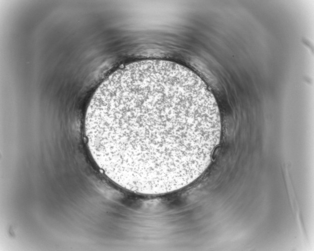 X0000093230309200710241241