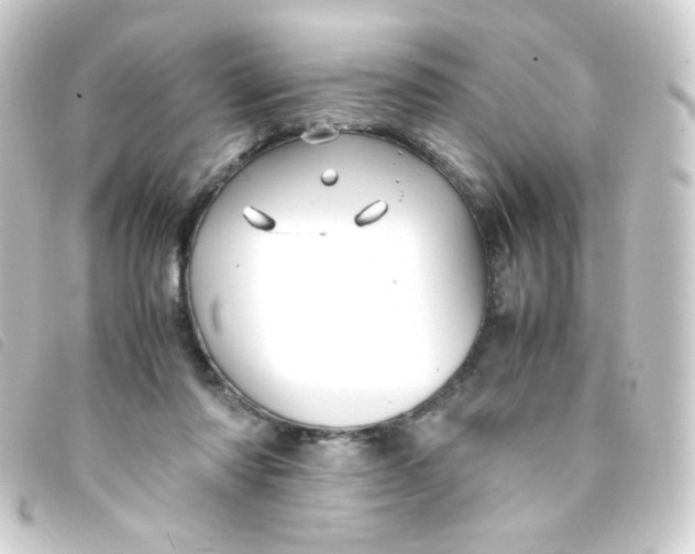 X0000093230310200710241241