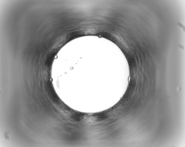 X0000093230311200710241241