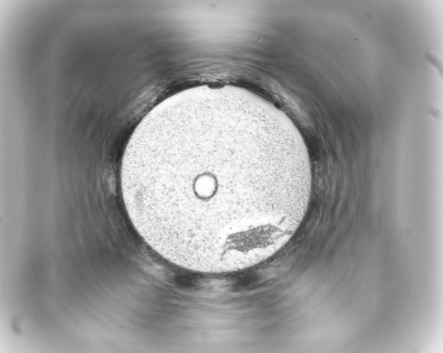 X0000093230313200710241241