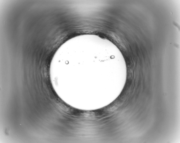 X0000093230317200710241241