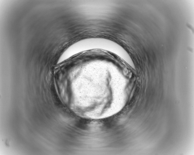 X0000093230319200710241241