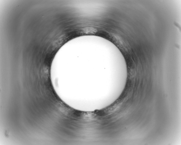 X0000093230321200710241241