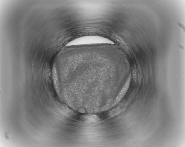 X0000093230322200710241241