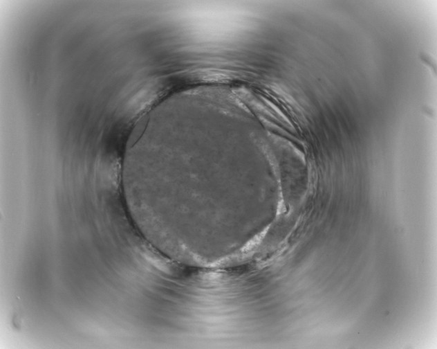 X0000093230325200710241241