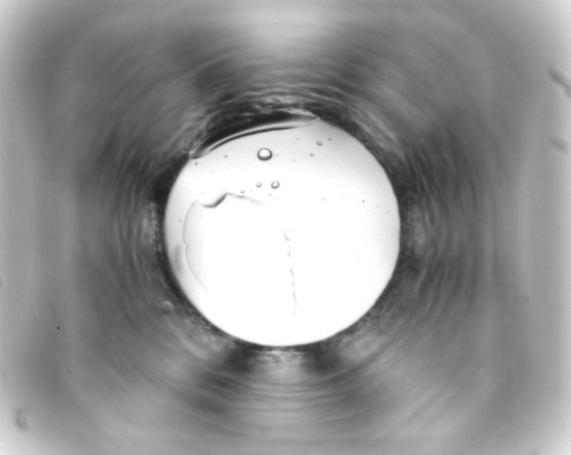 X0000093230328200710241241