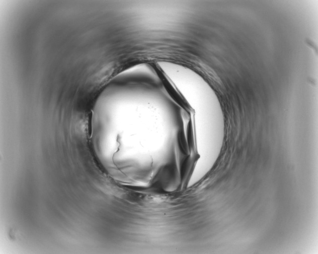 X0000093230329200710241241