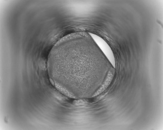 X0000093230331200710241241