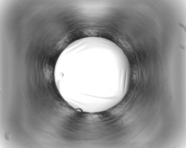 X0000093230332200710241241