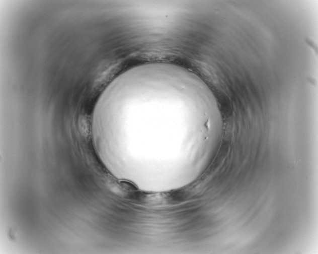 X0000093230335200710241241