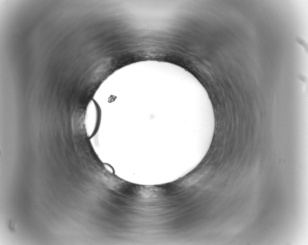 X0000093230336200710241240