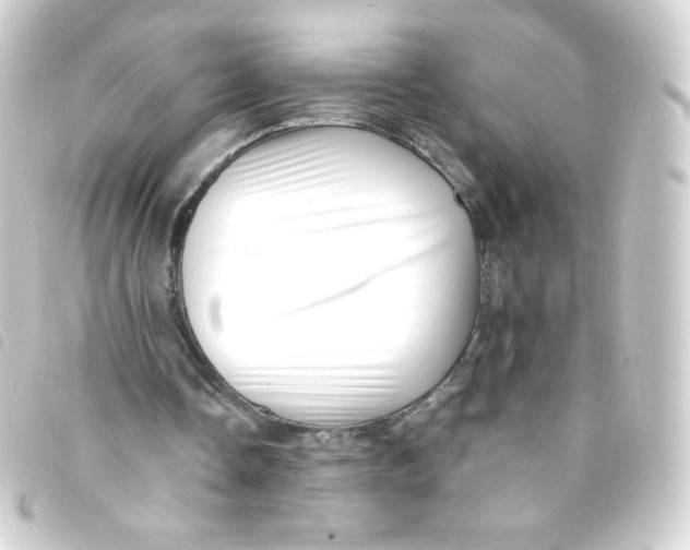 X0000093230338200710241240