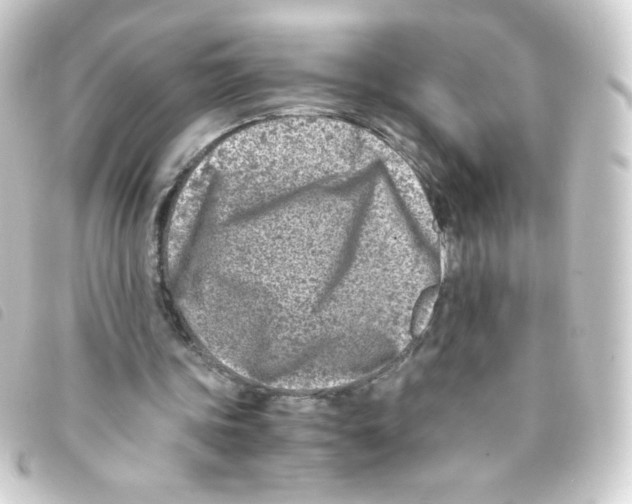 X0000093230339200710241240