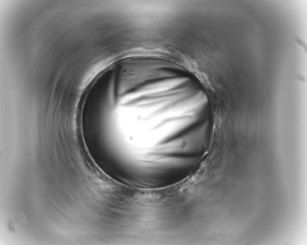 X0000093230340200710241240